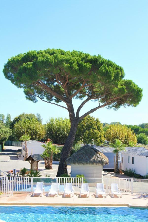 La Pinede Camping Grimaud Buitenkant foto